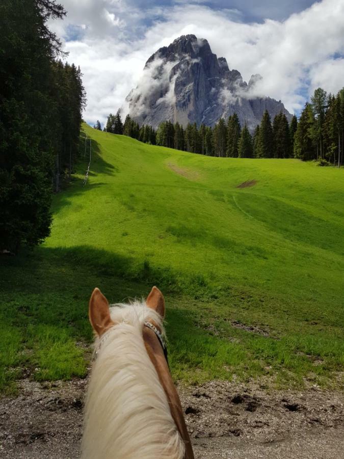 Hotel Pozzamanigoni Selva di Val Gardena Esterno foto